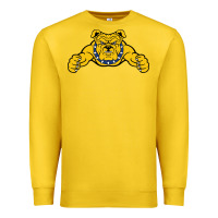 Lemon north carolina a&t aggies Premium Sweatshirt - linhVisuals