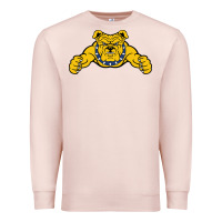 Pale Pink north carolina a&t aggies Premium Sweatshirt - linhVisuals
