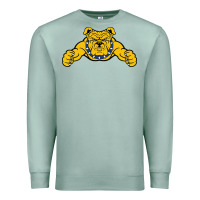 Seafoam north carolina a&t aggies Premium Sweatshirt - linhVisuals