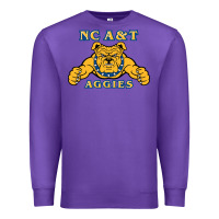 Purple north carolina a&t aggies Premium Sweatshirt - linhVisuals