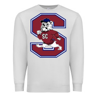 Dove Grey south carolina state bulldogs Premium Sweatshirt - linhVisuals