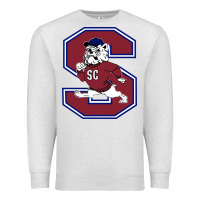 Oatmeal Heather south carolina state bulldogs Premium Sweatshirt - linhVisuals