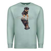 Rottweiler Reflection T Shirt Funny Father's Day Dog Gifts Premium Sweatshirt | Teevron