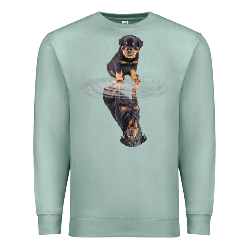 Rottweiler Reflection T Shirt Funny Father's Day Dog Gifts Premium Sweatshirt by linhVisuals | Teevron