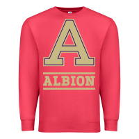 Cardinal albion college athleticpurple Premium Sweatshirt - linhVisuals