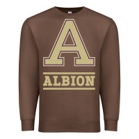 Chestnut albion college athleticpurple Premium Sweatshirt - linhVisuals