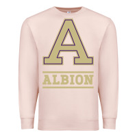Pale Pink albion college athleticpurple Premium Sweatshirt - linhVisuals