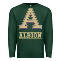 Sports Green albion college athleticpurple Premium Sweatshirt - linhVisuals