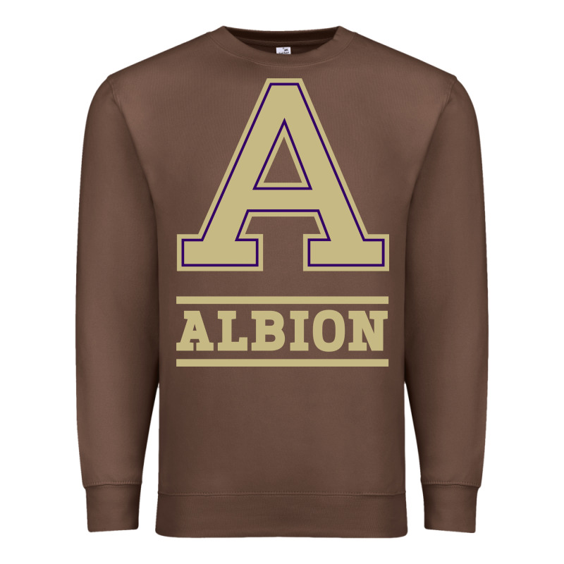 Albion College Athleticpurple Premium Sweatshirt by linhVisuals | Teevron