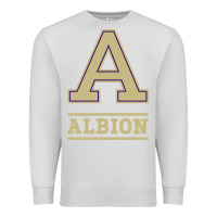 Dove Grey albion college athleticpurple Premium Sweatshirt - linhVisuals