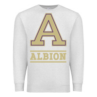 Oatmeal Heather albion college athleticpurple Premium Sweatshirt - linhVisuals
