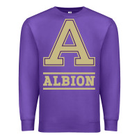 Purple albion college athleticpurple Premium Sweatshirt - linhVisuals