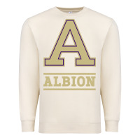 Sandshell albion college athleticpurple Premium Sweatshirt - linhVisuals