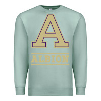 Seafoam albion college athleticpurple Premium Sweatshirt - linhVisuals