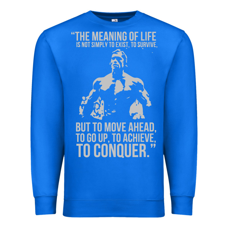 Schwarzenegger Arnie Premium Sweatshirt by linhVisuals | Teevron