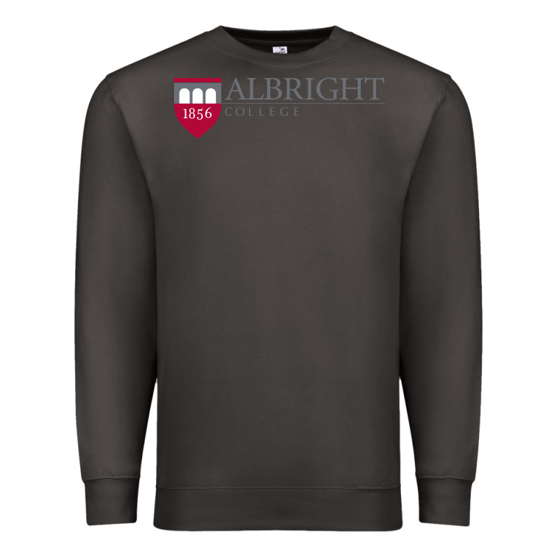 Albright College Vectorized Premium Sweatshirt by linhVisuals | Teevron