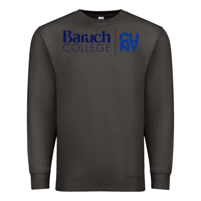 Baruch College Vectorized Premium Sweatshirt by linhVisuals | Teevron