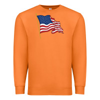 Carrot American flag Premium Sweatshirt - linhVisuals
