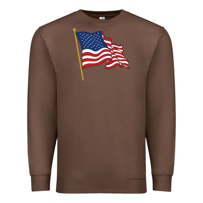 American Flag Premium Sweatshirt by linhVisuals | Teevron