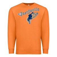 Carrot tri city dust baseball Premium Sweatshirt - linhVisuals
