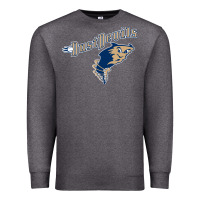 Charcoal Heather tri city dust baseball Premium Sweatshirt - linhVisuals