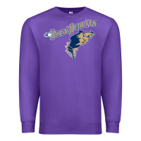 Purple tri city dust baseball Premium Sweatshirt - linhVisuals