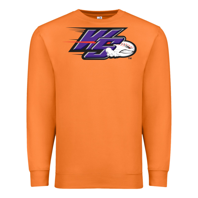 Winston Salem Dash Premium Sweatshirt by linhVisuals | Teevron