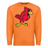 Carrot illinois state redbirds Premium Sweatshirt - linhVisuals