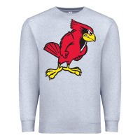 Heather Grey illinois state redbirds Premium Sweatshirt - linhVisuals