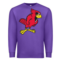 Purple illinois state redbirds Premium Sweatshirt - linhVisuals