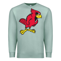 Seafoam illinois state redbirds Premium Sweatshirt - linhVisuals
