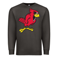 Smoke illinois state redbirds Premium Sweatshirt - linhVisuals