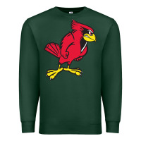 Sports Green illinois state redbirds Premium Sweatshirt - linhVisuals