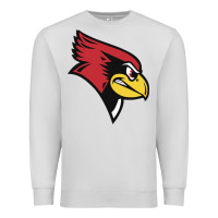 Dove Grey illinois state redbirds Premium Sweatshirt - linhVisuals