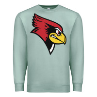 Seafoam illinois state redbirds Premium Sweatshirt - linhVisuals