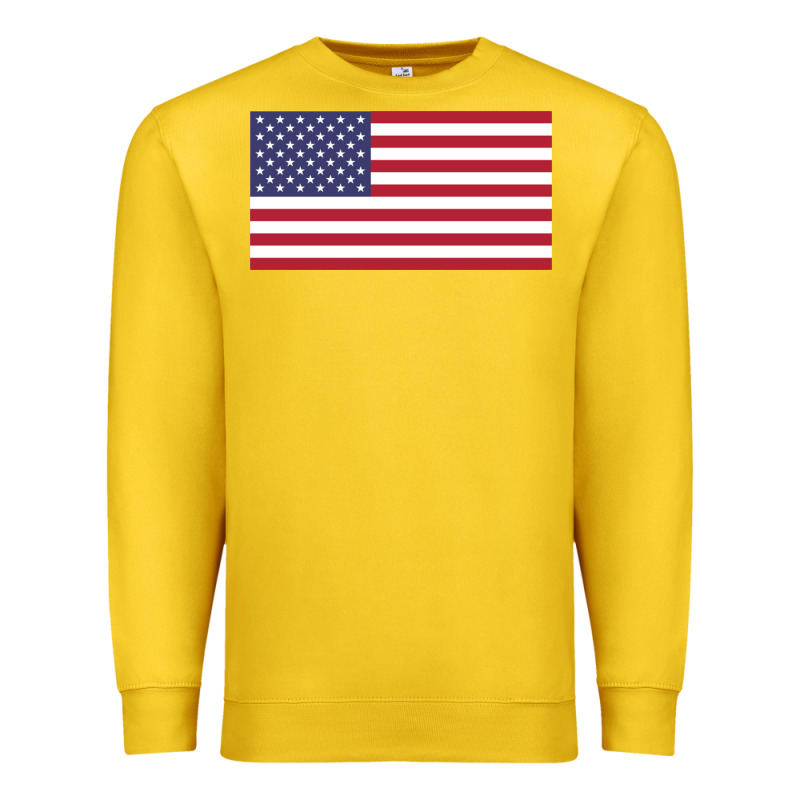 American Flag Premium Sweatshirt by linhVisuals | Teevron