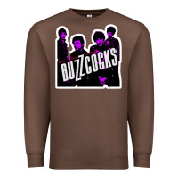 Chestnut Buzzcocks Ever Fallen In Love With Someone You Shouldn't've Premium Sweatshirt - linhVisuals