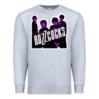 Heather Grey Buzzcocks Ever Fallen In Love With Someone You Shouldn't've Premium Sweatshirt - linhVisuals