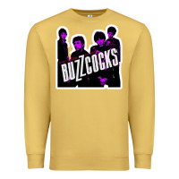 Antique Gold Buzzcocks Ever Fallen In Love With Someone You Shouldn't've Premium Sweatshirt - linhVisuals