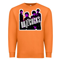 Carrot Buzzcocks Ever Fallen In Love With Someone You Shouldn't've Premium Sweatshirt - linhVisuals
