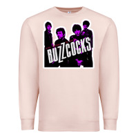 Pale Pink Buzzcocks Ever Fallen In Love With Someone You Shouldn't've Premium Sweatshirt - linhVisuals