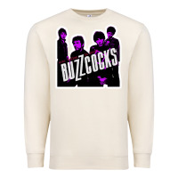 Sandshell Buzzcocks Ever Fallen In Love With Someone You Shouldn't've Premium Sweatshirt - linhVisuals