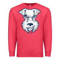 Cardinal st. francis brooklyn terriers Premium Sweatshirt - linhVisuals