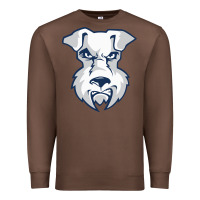 Chestnut st. francis brooklyn terriers Premium Sweatshirt - linhVisuals