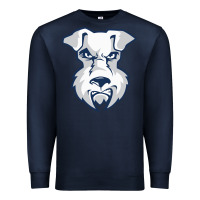 St. Francis Brooklyn Terriers Premium Sweatshirt | Teevron