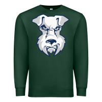 Sports Green st. francis brooklyn terriers Premium Sweatshirt - linhVisuals