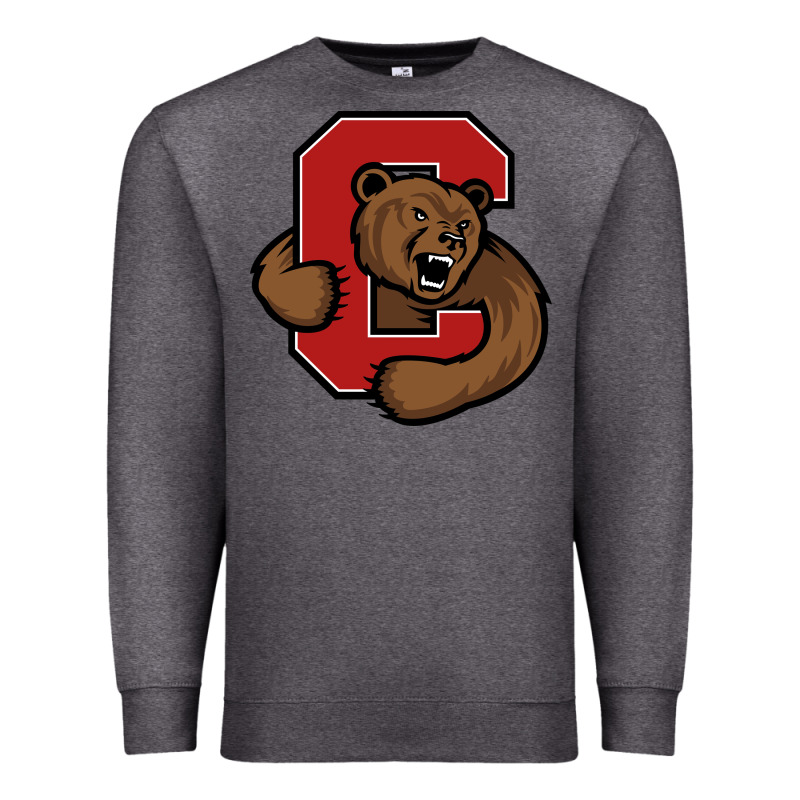 Cornell Premium Sweatshirt by linhVisuals | Teevron