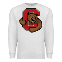 Oatmeal Heather cornell Premium Sweatshirt - linhVisuals