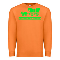 Carrot you have died of dysentery oregon trail Premium Sweatshirt - linhVisuals