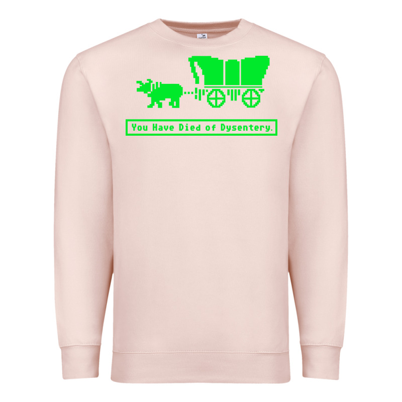 You Have Died Of Dysentery Oregon Trail Premium Sweatshirt by linhVisuals | Teevron